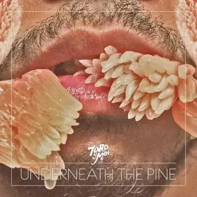 Couverture du produit · Underneath the Pine
