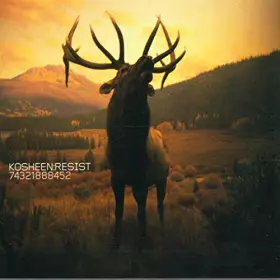 Couverture du produit · Resist