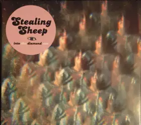 Couverture du produit · Into The Diamond Sun