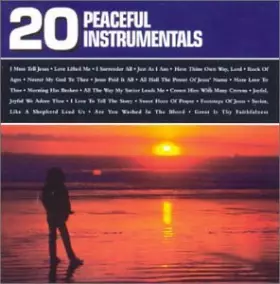 Couverture du produit · 20 Peaceful Instrumentals