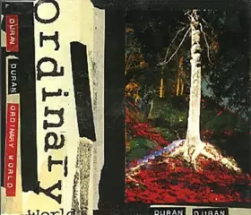 Couverture du produit · Ordinary World