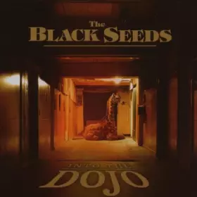 Couverture du produit · Into The Dojo [Import]