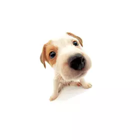 Couverture du produit · Greatest Hits-19tr [Import]