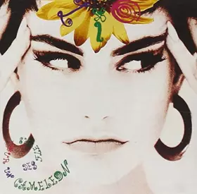 Couverture du produit · des Fleurs pour Un Cameleon