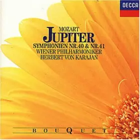 Couverture du produit · Sinf.40+41 [Import]