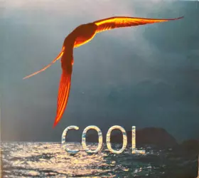 Couverture du produit · Cool