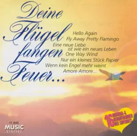 Couverture du produit · Deine Flügel Fangen Feuer...