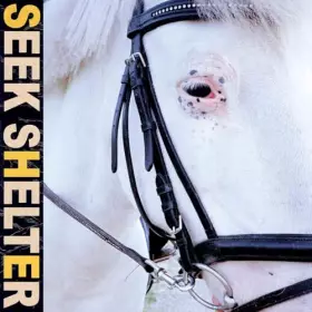 Couverture du produit · Seek Shelter