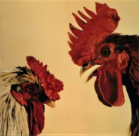 Couverture du produit · No Comprendo