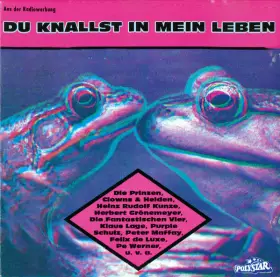 Couverture du produit · Du Knallst In Mein Leben