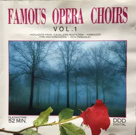 Couverture du produit · Famous Opera Choirs Vol. 1