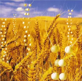 Couverture du produit · Genetic World