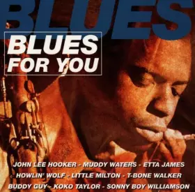Couverture du produit · 2cd / Various (John Lee Hooker/Etta James)