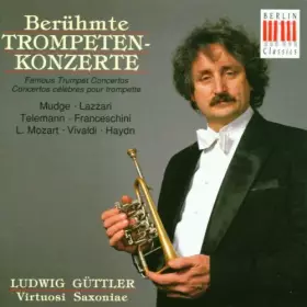 Couverture du produit · Beruhmte Trompetenkonzerte [Import]
