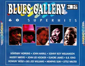 Couverture du produit · Blues Gallery (60 Super Hits)