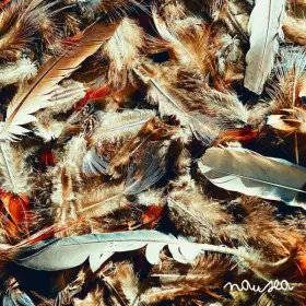 Couverture du produit · Nausea