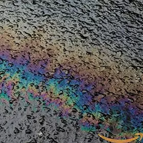 Couverture du produit · in Situ