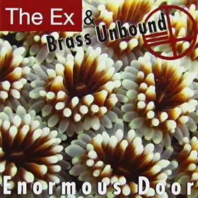 Couverture du produit · Enormous Door