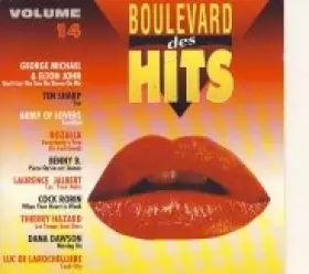 Couverture du produit · Boulevard des Hits 14