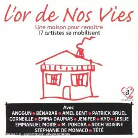 Couverture du produit · l'or de Nos Vies