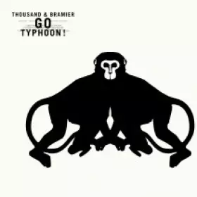 Couverture du produit · Go Typhoon !