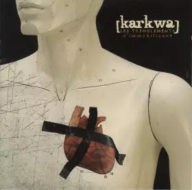 Couverture du produit · Les Tremblements S'immobilisent