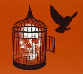 Couverture du produit · Yer Fire