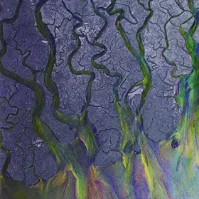 Couverture du produit · an Awesome Wave