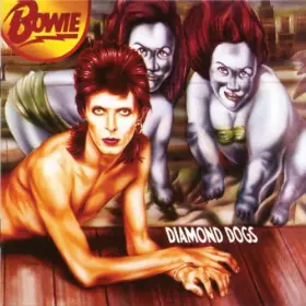 Couverture du produit · Diamond Dogs