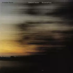 Couverture du produit · Invisible Storm