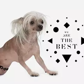 Couverture du produit · We are The Best