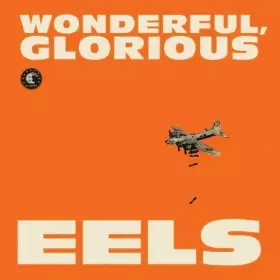 Couverture du produit · Wonderful, Glorious by Eels