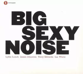 Couverture du produit · Big Sexy Noise