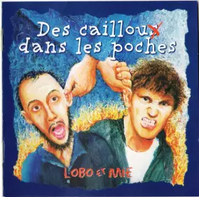 Couverture du produit · Des Cailloux Dans Les Poches