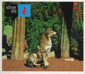 Couverture du produit · Sónar 99