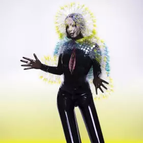 Couverture du produit · Vulnicura-Deluxe [Import]