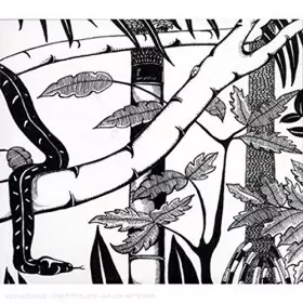 Couverture du produit · Domingo