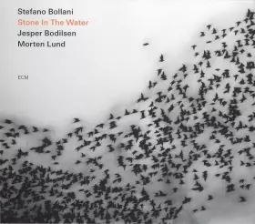 Couverture du produit · Stone In The Water