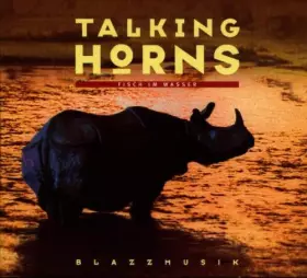 Couverture du produit · Fisch im Wasser (Blazzmusik) [Import]