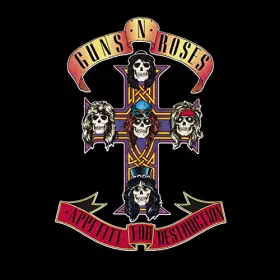 Couverture du produit · Appetite for Destruction