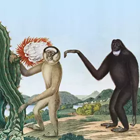 Couverture du produit · Primates