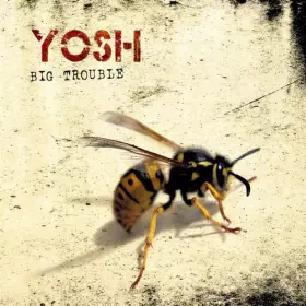 Couverture du produit · Big Trouble