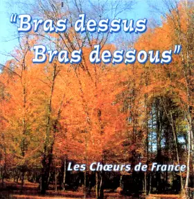 Couverture du produit · Bras Dessus, Bras Dessous