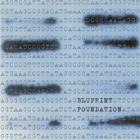 Couverture du produit · Foundation