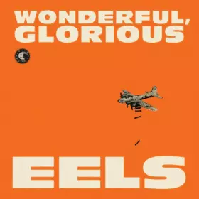 Couverture du produit · Wonderful, Glorious