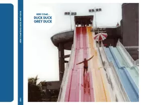 Couverture du produit · Here Come... Duck Duck Grey Duck