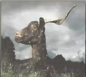 Couverture du produit · La Belle inutile