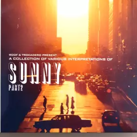 Couverture du produit · A Collection Of Various Interpretations Of Sunny Part 2