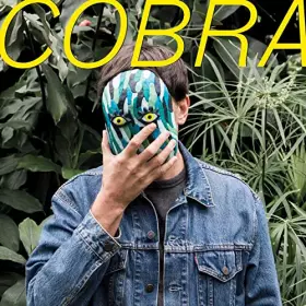 Couverture du produit · Cobra