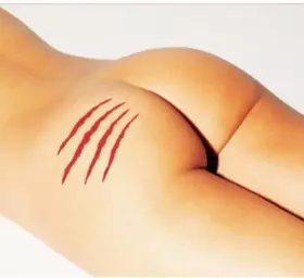 Couverture du produit · La Vierge Et Le Lion